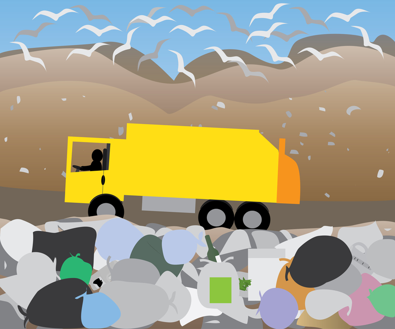 From Waste to Resource: The Power of Proper Cardboard Disposal